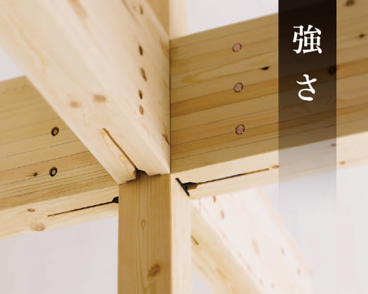 柱と梁が組み上がる構造の様子