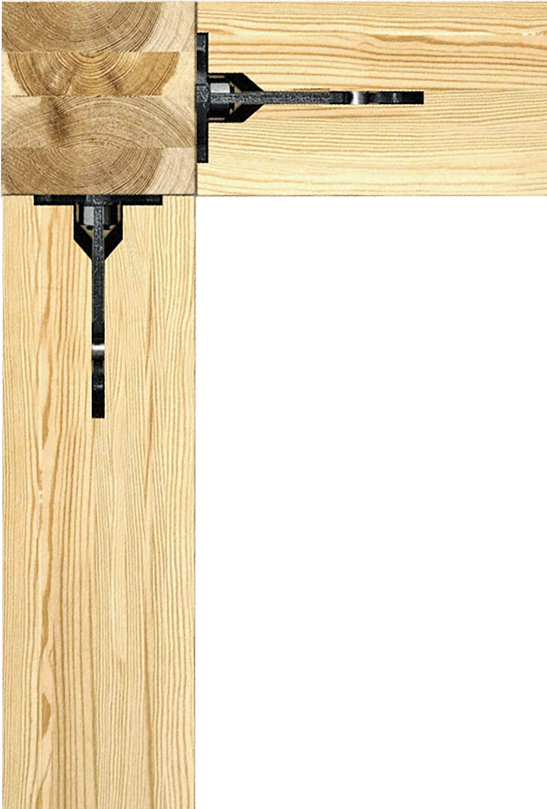 森林のバイオマスサイクル（伐る→植える→育てる）の循環図